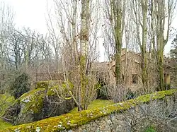 Vista del jardín en época invernal
