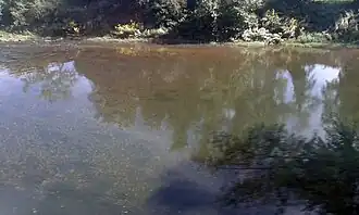 El Nalón a su paso por Aces y su margen opuesta hacia Grullos.