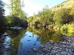 El río Curueño a su paso por Gallegos: "El Pozo"