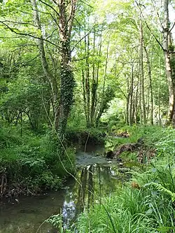 El río a su paso por el campus de Gijón.
