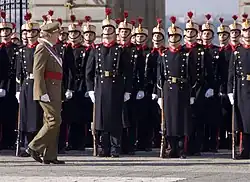 Guardia real española en color turquí.
