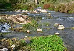 Curs mitjà del riu Palància