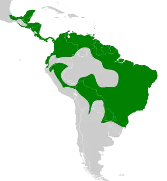 Distribución geográfica del fiofío ventriamarillo.