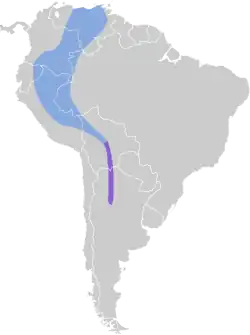 Distribución geográfica del fiofío plomizo.