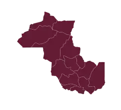 Elecciones provinciales de Jujuy de 1924