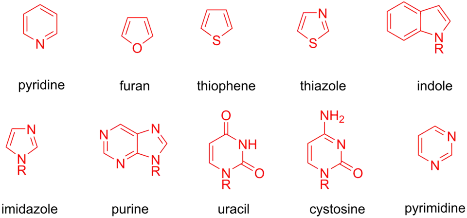 Variedad de heterocycles cuáles pueden experimentar adición