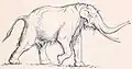 Recreación de 1916 de Palaeoloxodon antiquus.