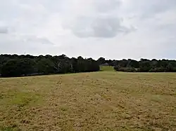 Oxleas meadows (Green Chain Walk)