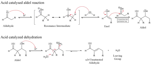 Enol Mechanism