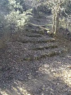 Escaleras de Piedra en la Dehesa del Carrascal