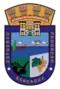 Escudo de Nancagua