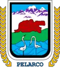 Escudo de Pelarco