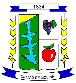 Escudo de Molina