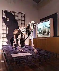 Esqueleto completo de Megatherium Americanum montado en 1788 por Juan Bautista Bru.