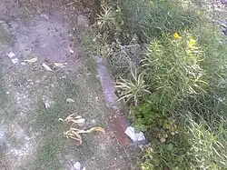 Borde hacia las vías