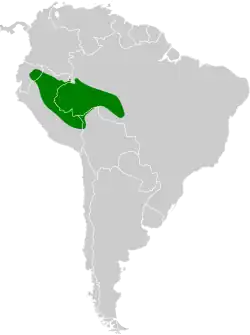 Distribución geográfica del tiluchí hombrocastaño.