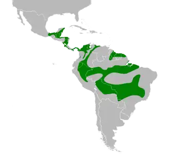 Distribución geográfica de la tangara cabecigrís.