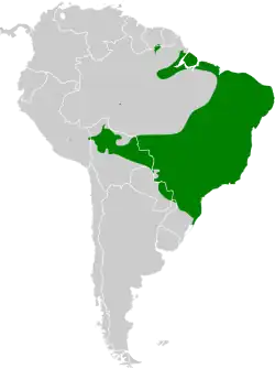 Distribución geográfica del colibrí golondrina