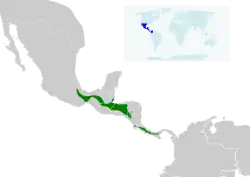 Distribución geográfica del colibrí colirrayado