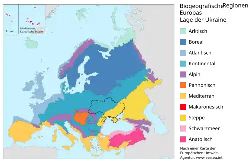 La división norte-oeste vs. sur-este. La zona en azul presenta un bioma de bosque caducifolio, mientras que en la zona en amarillo el paisaje es de estepas.[2]​
