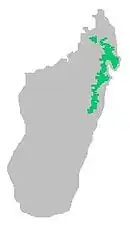 Distribución del vanga de casco en la isla de Madagascar.
