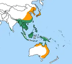 En distintos colores las variedades.