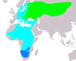 Distribución de Falco vespertinus