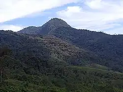 Cordillera del wissus, exuberante bosque y místico lugar, patrimonio distrital en proceso de protección.