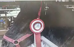 Feria de Santa Lucía en Urrechu y Zumárraga