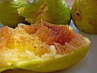 Higo de Cilento abierto.