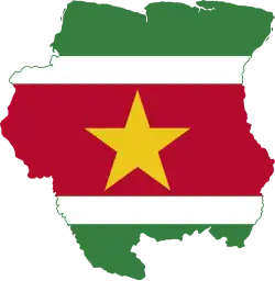 Ver el portal sobre Surinam