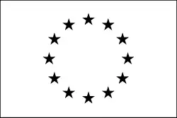 Bandera en monocromo negro, con borde negro.