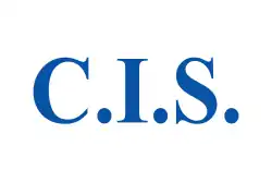 Bandera de la Comunidad de Estados Independientes