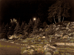 Imagen de la iluminación del jardín rocoso en 1961.