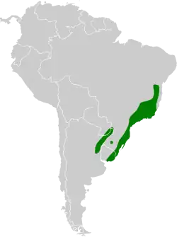 Distribución geográfica del colibrí negro.