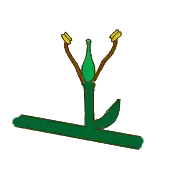 Flor aperiantada (sin perianto).