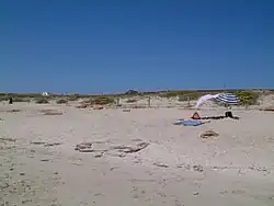 Àrea marina Platja de Migjorn