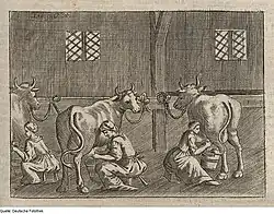 Grabado de la Georgica Curiosa Aucta (1695).