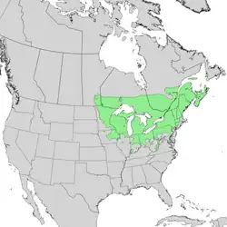 Distribución natural