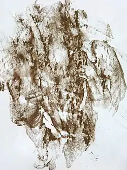 Frottage de una corteza.