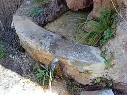 Fuente natural cercana a El Quejigal.