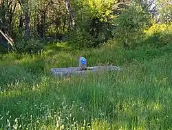 Fuente de La Salceda