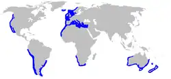Distribución mundial de Galeorhinus galeus