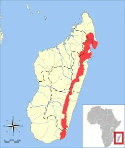 Distribución de la mangosta de franjas anchas