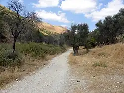 Viejo camino de Rosh Piná a Safed, Alta Galilea, Israel