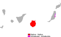 Nativo Introducido