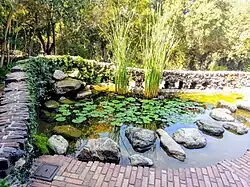 El estanque del jardín.