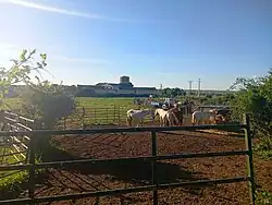 Instalación ganadera en Aldeanueva