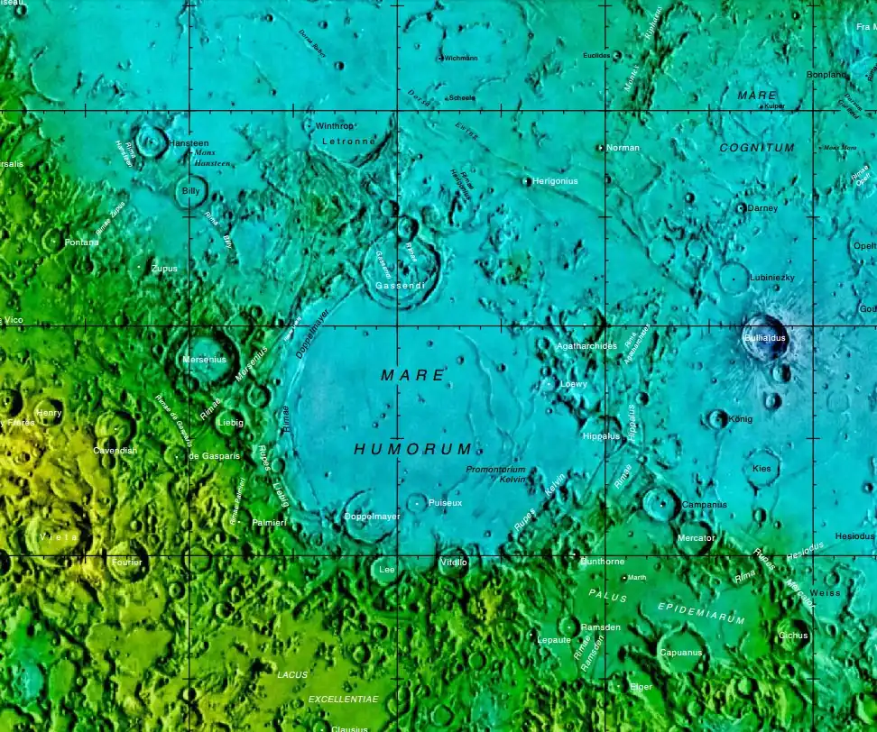 Localización de Vitello