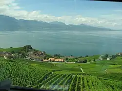 Lavaux, viñedos en terraza